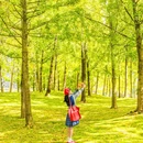 天府公园 - 成都市旅游 缩略图 9