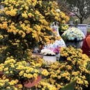 漫花庄园 - 成都市旅游 缩略图 5