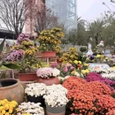 漫花庄园 - 成都市旅游 缩略图 6