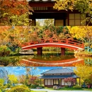 格调浅羽花园 - 天津市旅游 缩略图 1