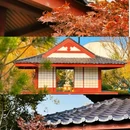 格调浅羽花园 - 天津市旅游 缩略图 5