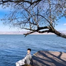 洱海月湿地公园 - 大理白族自治州旅游 缩略图 7