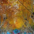 马陵山风景名胜区 - 徐州市旅游 缩略图 4