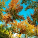 马陵山风景名胜区 - 徐州市旅游 缩略图 2