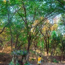 马陵山风景名胜区 - 徐州市旅游 缩略图 5