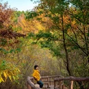 马陵山风景名胜区 - 徐州市旅游 缩略图 9