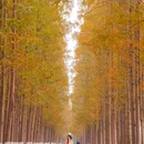 珍珠泉风景区 - 南京市旅游 缩略图 3