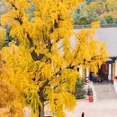 珍珠泉风景区 - 南京市旅游 缩略图 8