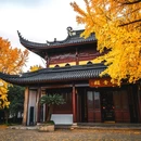 网师园 - 苏州市旅游 缩略图 8