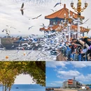青岛栈桥 - 青岛市旅游 缩略图 1