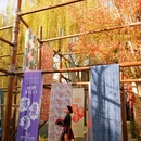 清照泉城·明水古城国际泉水旅游度假区 - 济南市旅游 缩略图 9