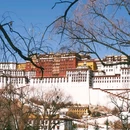 布达拉宫广场 - 拉萨市旅游 缩略图 4