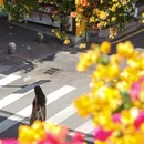 锦江之星品尚酒店(厦门机场集美学村店) - 厦门市旅游 缩略图 1