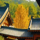 四季逸境酒店(金华高铁站银泰城店) - 金华市旅游 缩略图 9