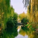 大明湖风景名胜区 - 济南市旅游 缩略图 2