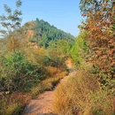 河山村村委会 - 成都市旅游 缩略图 5
