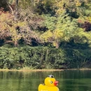 天宁禅寺 - 常州市旅游 缩略图 2