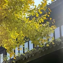天宁禅寺 - 常州市旅游 缩略图 4