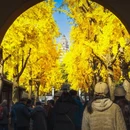 虎丘山风景名胜区 - 苏州市旅游 缩略图 3