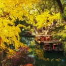虎丘山风景名胜区 - 苏州市旅游 缩略图 4