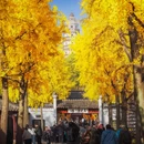 虎丘山风景名胜区 - 苏州市旅游 缩略图 2