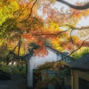 虎丘山风景名胜区 - 苏州市旅游 缩略图 7