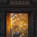 虎丘山风景名胜区 - 苏州市旅游 缩略图 5