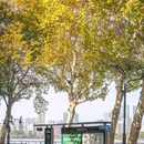凌波门东湖观景点 - 武汉市旅游 缩略图 1