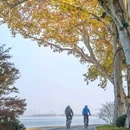 凌波门东湖观景点 - 武汉市旅游 缩略图 4