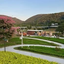 珠海伴园云栖山舍(长隆旅游度假区店) - 珠海市旅游 缩略图 4