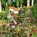 深圳市仙湖植物园 - 深圳市旅游 缩略图 4