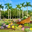 深圳市仙湖植物园 - 深圳市旅游 缩略图 7