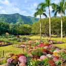 深圳市仙湖植物园 - 深圳市旅游 缩略图 8