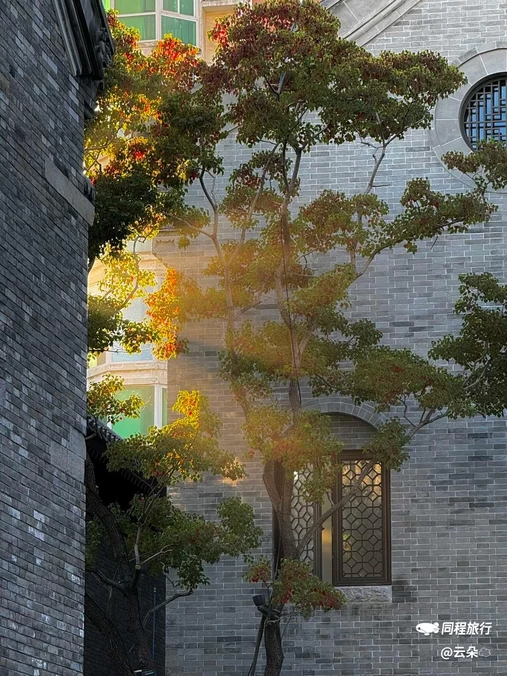 郑州文庙 - 郑州市旅游