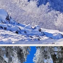 中国雪乡 - 延边朝鲜族自治州旅游 缩略图 2