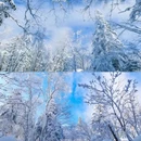中国雪乡 - 延边朝鲜族自治州旅游 缩略图 9