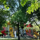 东莞植物园 - 东莞市旅游 缩略图 5