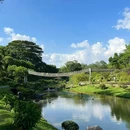 东莞植物园 - 东莞市旅游 缩略图 7