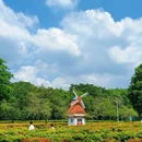 东莞植物园 - 东莞市旅游 缩略图 2