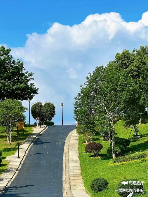 东莞植物园 - 东莞市旅游