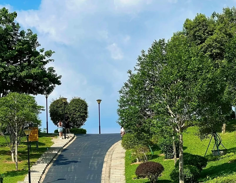 东莞植物园 - 东莞市旅游 1