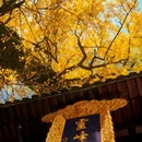 灵峰寺 - 湖州市旅游 缩略图 1