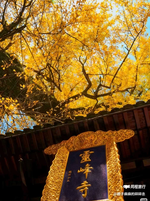 灵峰寺 - 湖州市旅游