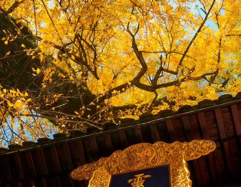 灵峰寺 - 湖州市旅游 1