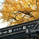 灵峰寺 - 湖州市旅游 缩略图 6