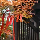 灵峰寺 - 湖州市旅游 缩略图 9