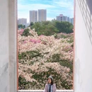 华师[地铁站] - 广州市旅游 缩略图 3