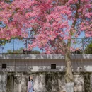 华师[地铁站] - 广州市旅游 缩略图 5