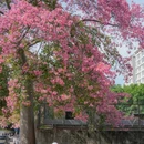 华师[地铁站] - 广州市旅游 缩略图 2