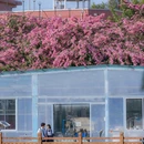 华师[地铁站] - 广州市旅游 缩略图 8